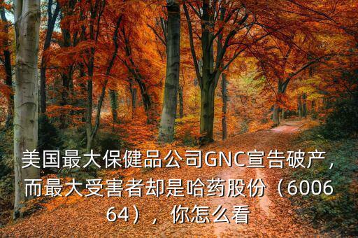 美國(guó)最大保健品公司GNC宣告破產(chǎn)，而最大受害者卻是哈藥股份（600664），你怎么看