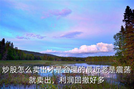 炒股怎么賣出才是合理的最近老是震蕩就賣出，利潤(rùn)回撤好多