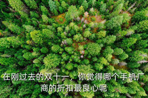 在剛過去的雙十一，你覺得哪個手機(jī)廠商的折扣最良心呢
