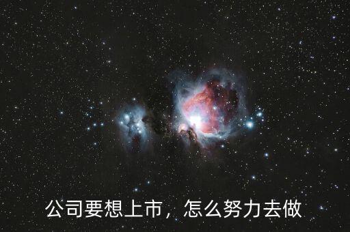 公司要想上市，怎么努力去做