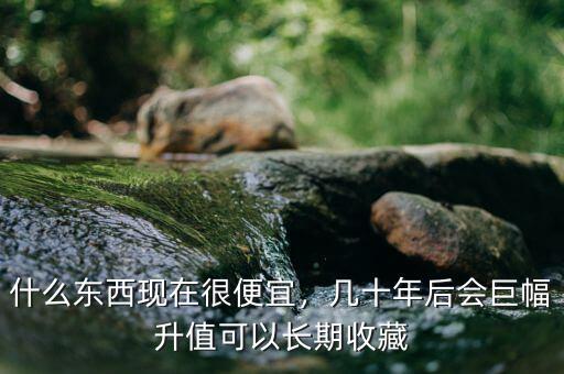什么東西現(xiàn)在很便宜，幾十年后會巨幅升值可以長期收藏