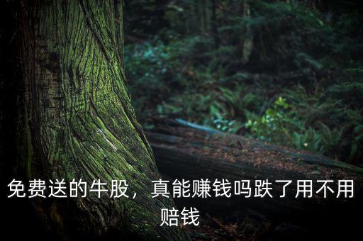 免費(fèi)送的牛股，真能賺錢(qián)嗎跌了用不用賠錢(qián)