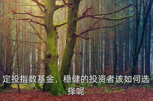 定投指數(shù)基金，穩(wěn)健的投資者該如何選擇呢