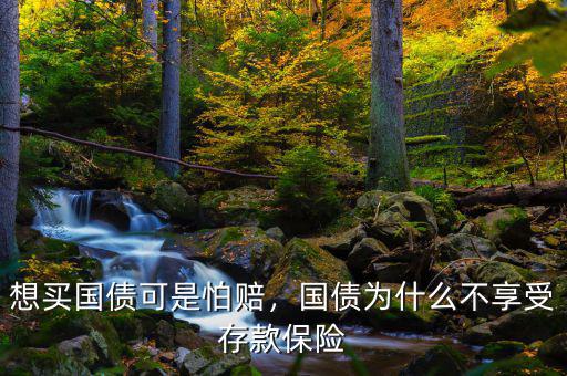 想買國債可是怕賠，國債為什么不享受存款保險