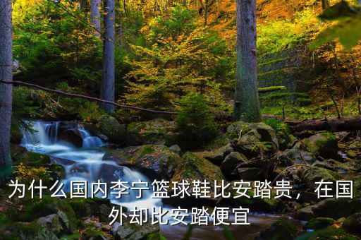 為什么國(guó)內(nèi)李寧籃球鞋比安踏貴，在國(guó)外卻比安踏便宜