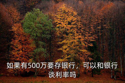 如果有500萬(wàn)要存銀行，可以和銀行談利率嗎
