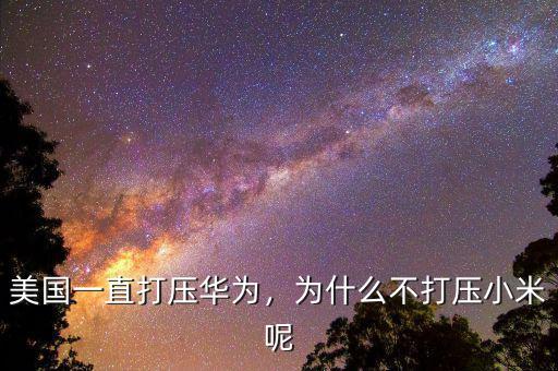 美國一直打壓華為，為什么不打壓小米呢