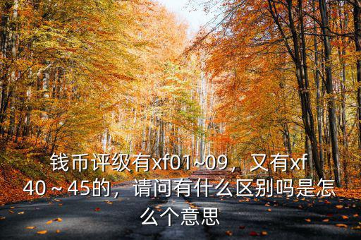 錢幣評(píng)級(jí)有xf01~09，又有xf40～45的，請(qǐng)問有什么區(qū)別嗎是怎么個(gè)意思
