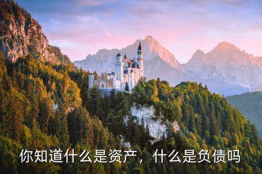 你知道什么是資產(chǎn)，什么是負債嗎