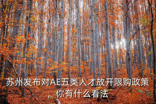 蘇州發(fā)布對(duì)AE五類人才放開限購政策，你有什么看法