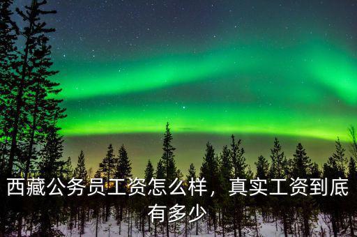 西藏公務(wù)員工資怎么樣，真實工資到底有多少