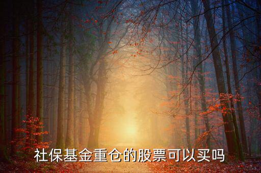 社保買了獐子島多少股票,社?；鹬貍}的股票可以買嗎