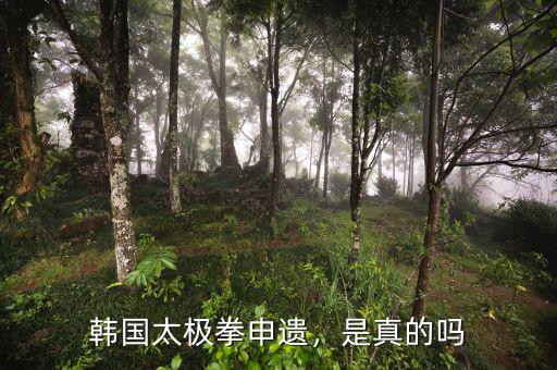 韓國(guó)太極拳申遺，是真的嗎