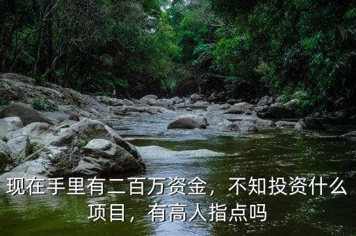 現(xiàn)在手里有二百萬資金，不知投資什么項目，有高人指點嗎