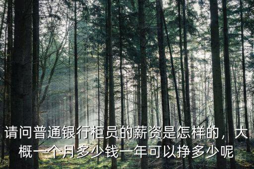 請(qǐng)問(wèn)普通銀行柜員的薪資是怎樣的，大概一個(gè)月多少錢(qián)一年可以掙多少呢