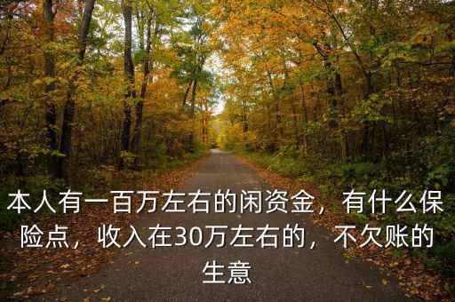 本人有一百萬左右的閑資金，有什么保險點，收入在30萬左右的，不欠賬的生意