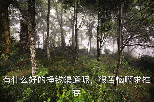 有什么好的掙錢渠道呢，很苦惱啊求推薦