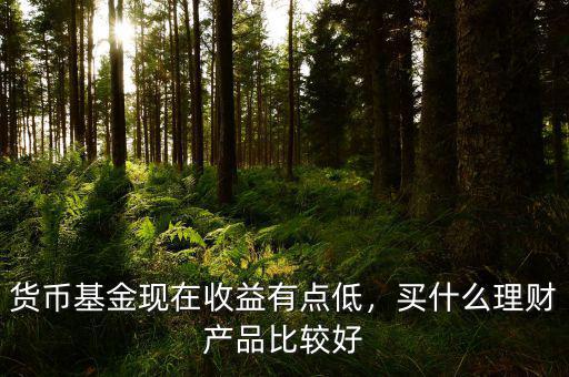 貨幣基金現(xiàn)在收益有點(diǎn)低，買什么理財(cái)產(chǎn)品比較好