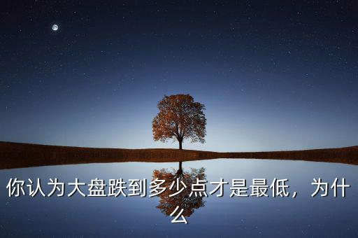 你認(rèn)為大盤跌到多少點(diǎn)才是最低，為什么