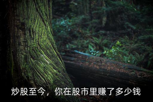 炒股至今，你在股市里賺了多少錢