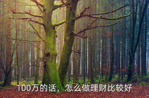 100萬(wàn)的話(huà)，怎么做理財(cái)比較好
