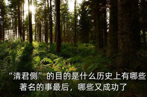 側的意思是什么,歷史上有哪些著名的事