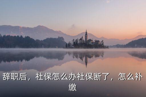 辭職后，社保怎么辦社保斷了，怎么補繳
