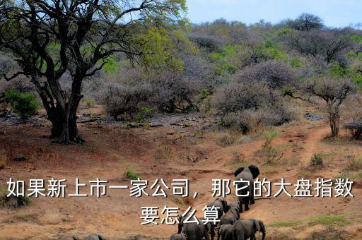 如果新上市一家公司，那它的大盤指數(shù)要怎么算