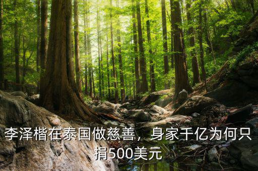 李澤楷在泰國做慈善，身家千億為何只捐500美元