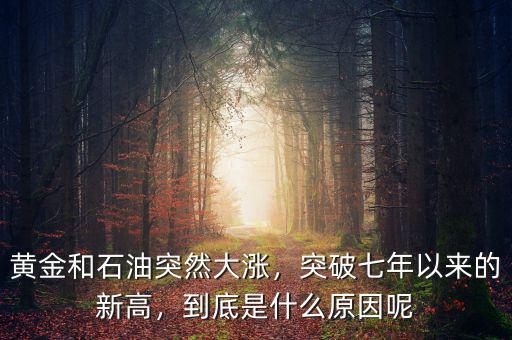 黃金和石油突然大漲，突破七年以來的新高，到底是什么原因呢