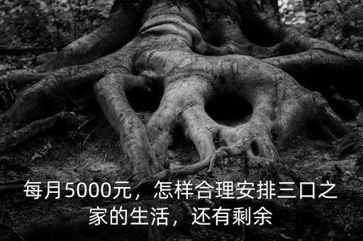 每月5000元，怎樣合理安排三口之家的生活，還有剩余
