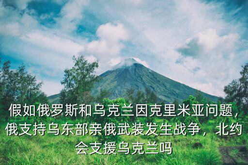 假如俄羅斯和烏克蘭因克里米亞問題，俄支持烏東部親俄武裝發(fā)生戰(zhàn)爭(zhēng)，北約會(huì)支援烏克蘭嗎