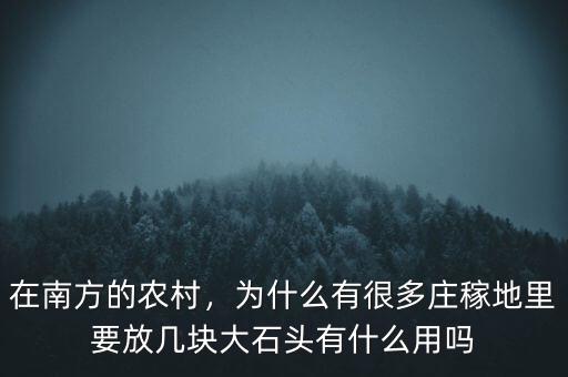 在南方的農(nóng)村，為什么有很多莊稼地里要放幾塊大石頭有什么用嗎