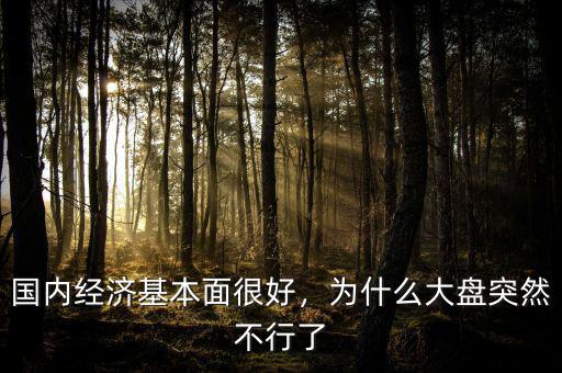 國內(nèi)經(jīng)濟(jì)基本面很好，為什么大盤突然不行了