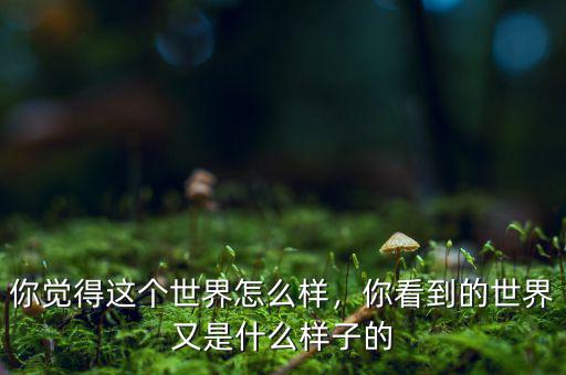 你覺得這個(gè)世界怎么樣，你看到的世界又是什么樣子的