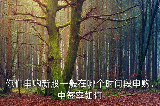 你們申購(gòu)新股一般在哪個(gè)時(shí)間段申購(gòu)，中簽率如何