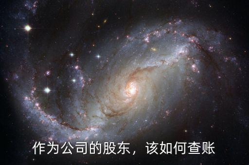 作為公司的股東，該如何查賬