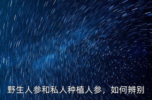 野生人參和私人種植人參，如何辨別