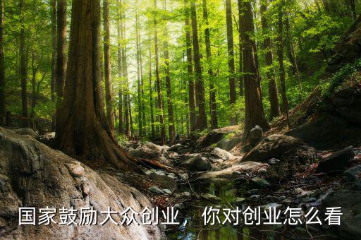 國家鼓勵大眾創(chuàng)業(yè)，你對創(chuàng)業(yè)怎么看
