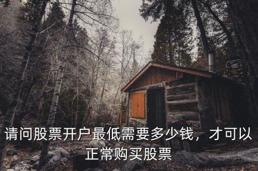 請(qǐng)問股票開戶最低需要多少錢，才可以正常購買股票