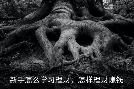 新手怎么學(xué)習(xí)理財(cái)，怎樣理財(cái)賺錢