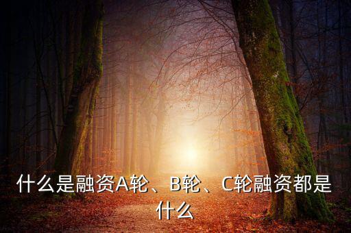 什么是融資A輪、B輪、C輪融資都是什么