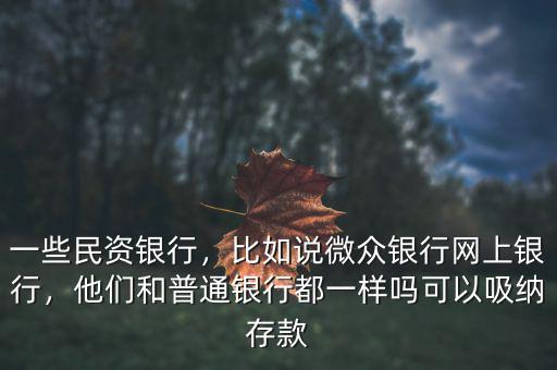 一些民資銀行，比如說(shuō)微眾銀行網(wǎng)上銀行，他們和普通銀行都一樣嗎可以吸納存款