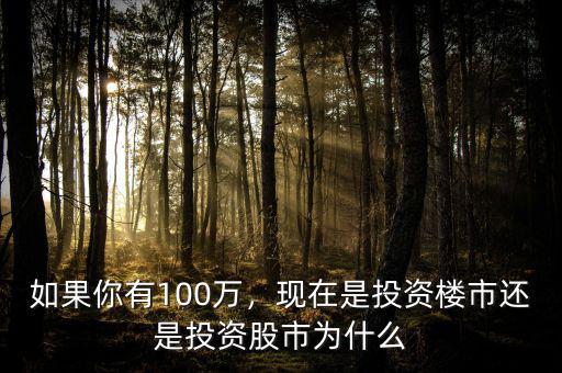如果你有100萬，現(xiàn)在是投資樓市還是投資股市為什么