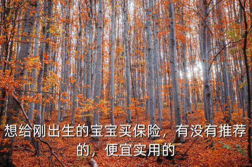 想給剛出生的寶寶買保險(xiǎn)，有沒有推薦的，便宜實(shí)用的