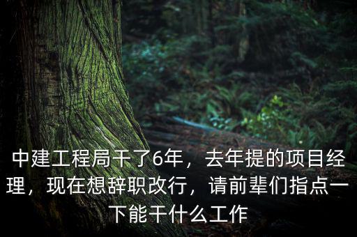 中建工程局干了6年，去年提的項(xiàng)目經(jīng)理，現(xiàn)在想辭職改行，請(qǐng)前輩們指點(diǎn)一下能干什么工作
