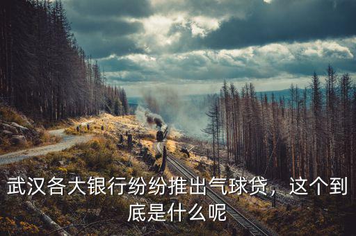 武漢各大銀行紛紛推出氣球貸，這個到底是什么呢