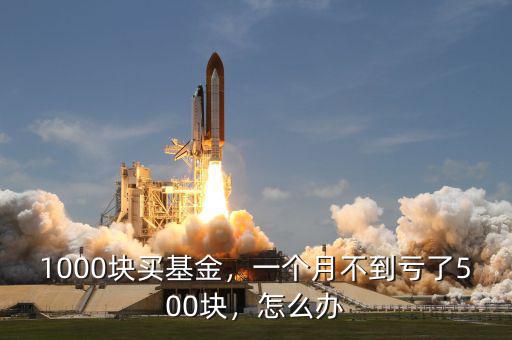 買(mǎi)基金虧了怎么辦,1000塊買(mǎi)基金