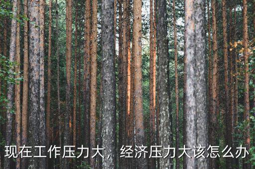 現(xiàn)在工作壓力大，經(jīng)濟壓力大該怎么辦