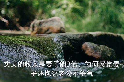 丈夫的收入是妻子的3倍，為何感覺妻子還抱怨老公不爭氣